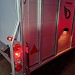 Cargo Roadster 1000 480x200x206cm Poly grau Seitenklappen Seitentüren Rampe Pullman 100km/H 3500kg