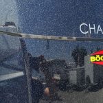 Pferdeanhänger Böckmann Champion R Sattelkammer blueline 2400kg CFF+ 100 km/h Modell 2025